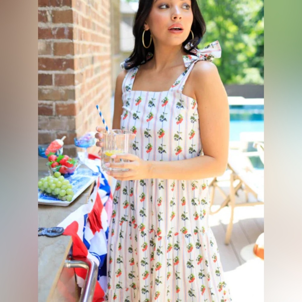 Holly Shae Graysen Red White Berrys Striped Sundress New Cottagecore $198